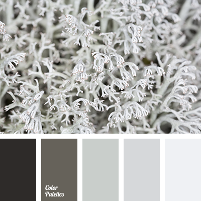 color-palette-3081
