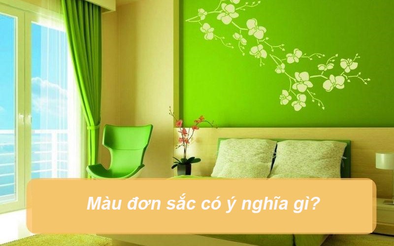 mau-don-sac-2