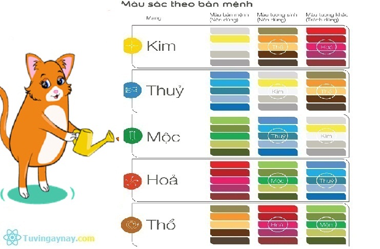 mauhoptuoimao